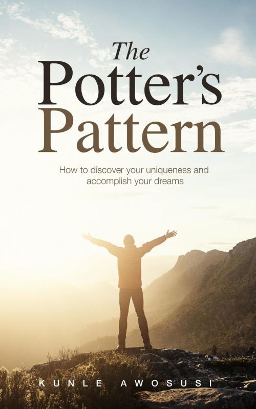 Cover of the book The Potter's Pattern by kunle Awosusi, Reach