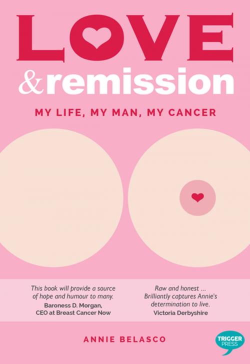 Cover of the book Love and Remission by Annie Belasco, Trigger