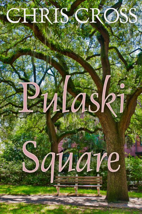 Cover of the book Pulaski Square by Chris Cross, BarbarianSpy