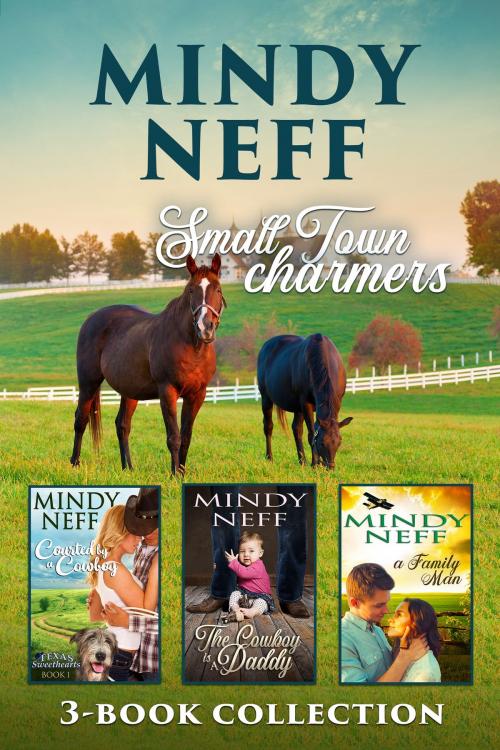 Cover of the book Small Town Charmers: Boxed Set by Mindy Neff, Mindy Neff