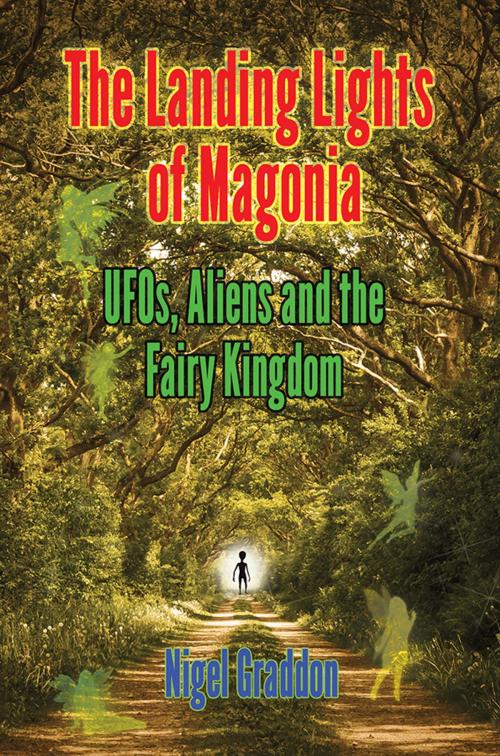 Cover of the book THE LANDING LIGHTS OF MAGONIA by Nigel Graddon, Adventures Unlimited Press