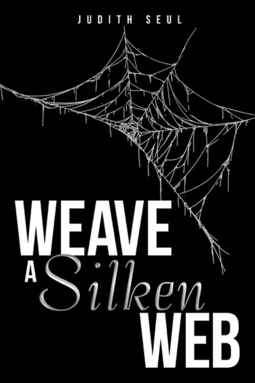 Cover of the book Weave a Silken Web by Judith Seul, WestBow Press