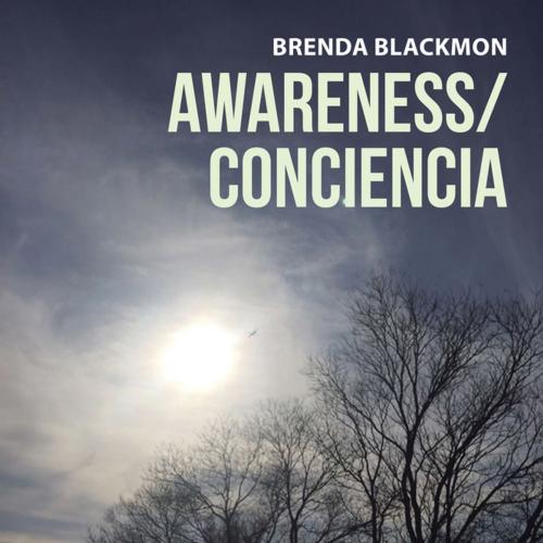 Cover of the book Awareness/Conciencia by Brenda Blackmon, Xlibris US