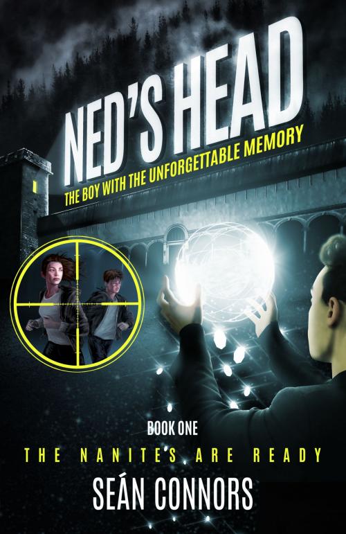 Cover of the book Ned's Head: The Boy With The Unforgettable Memory by Seán Connors, Seán Connors