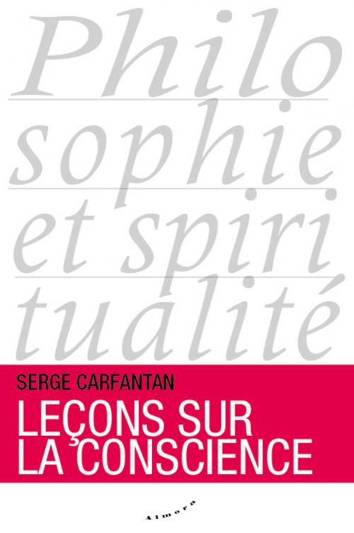 Cover of the book Leçons sur la conscience by Serge Carfantan, Groupe CB