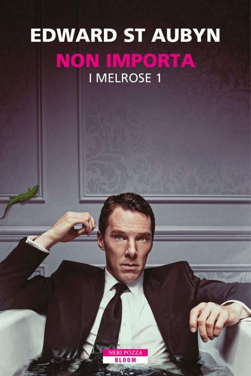 Cover of the book Non importa by Edward St Aubyn, Neri Pozza