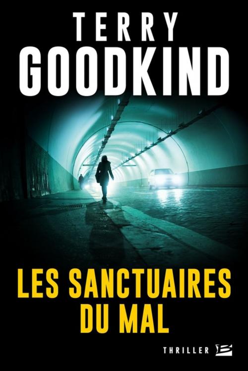 Cover of the book Les Sanctuaires du Mal by Terry Goodkind, Bragelonne