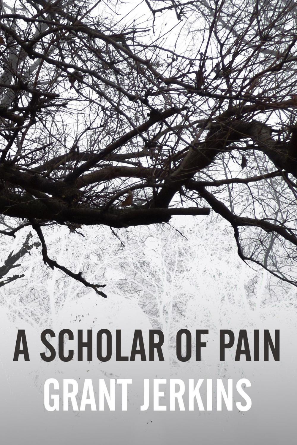 Big bigCover of A Scholar of Pain