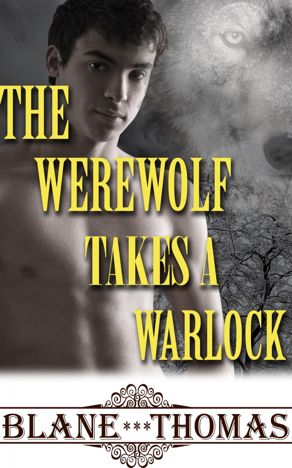 Big bigCover of The Werewolf Takes A Warlock