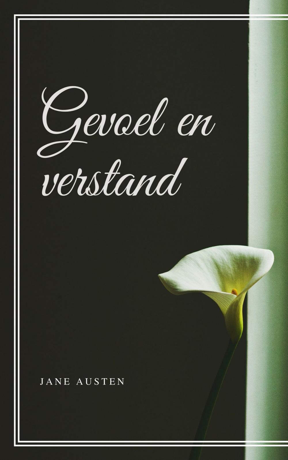 Big bigCover of Gevoel en verstand