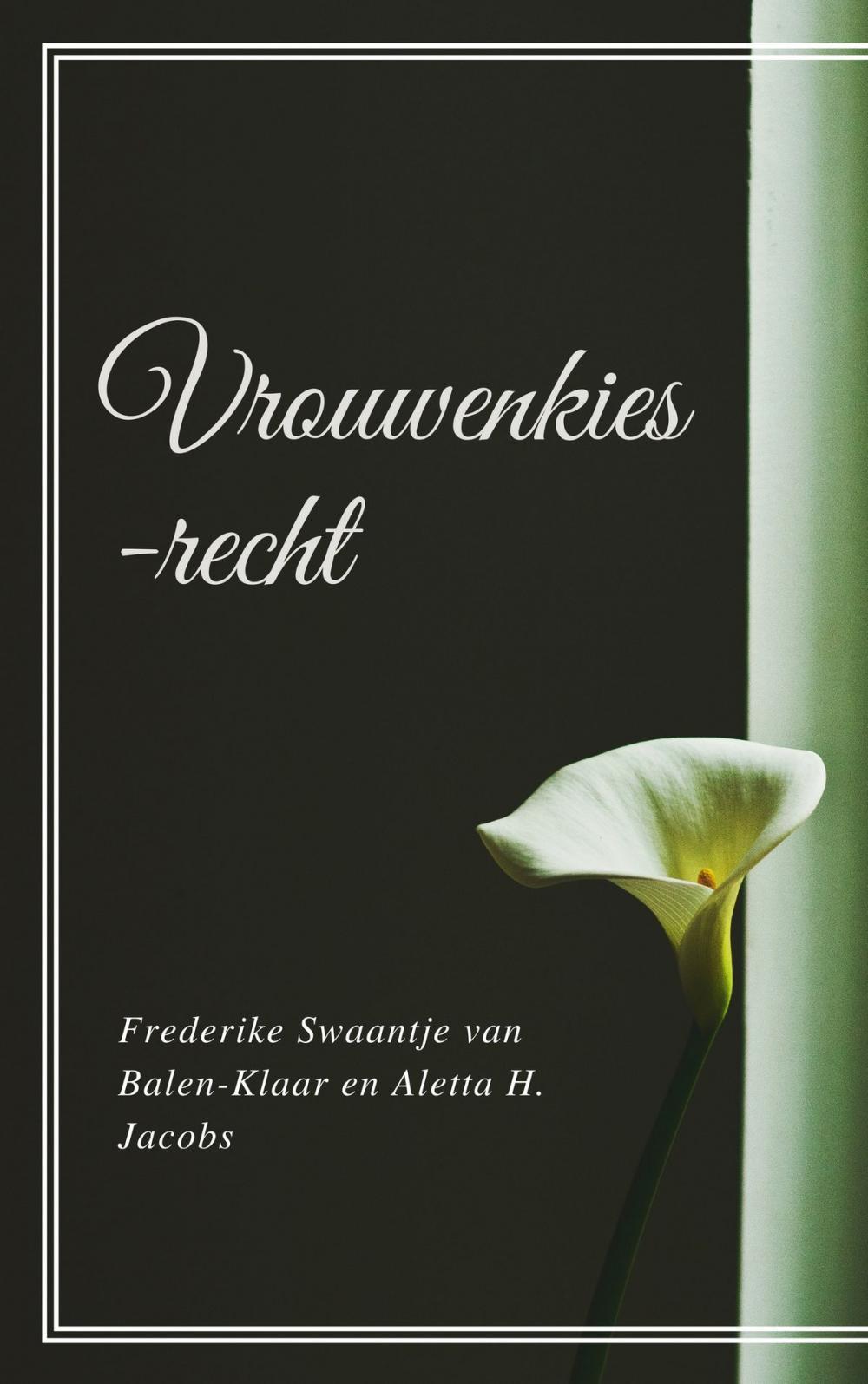 Big bigCover of Vrouwenkiesrecht