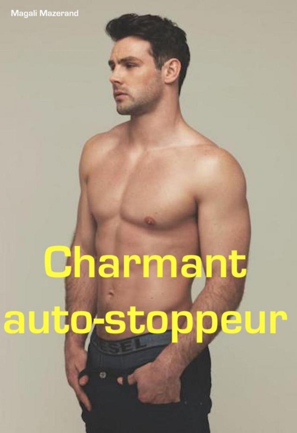 Big bigCover of Charmant auto-stoppeur