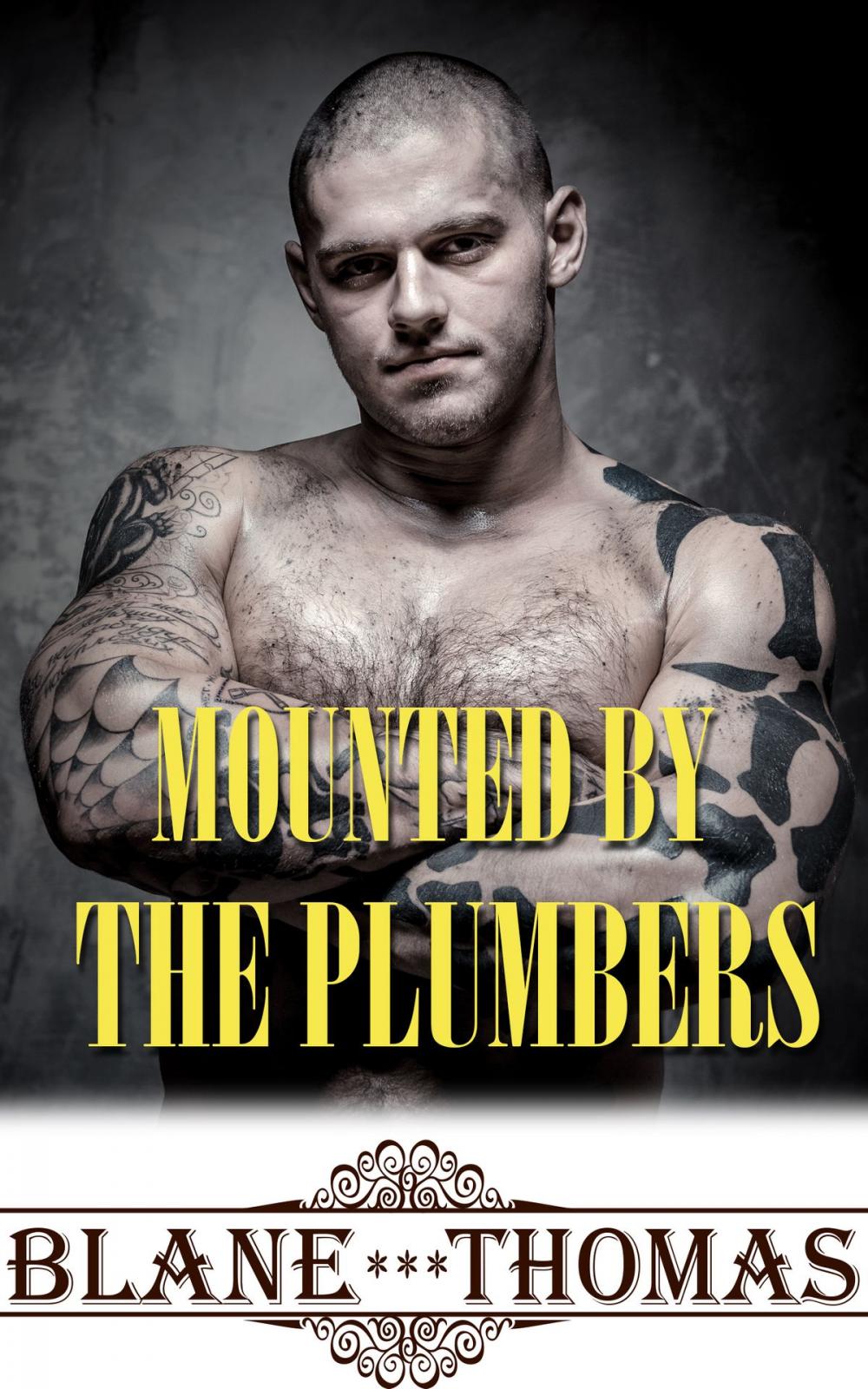 Big bigCover of Mounted By The Plumbers