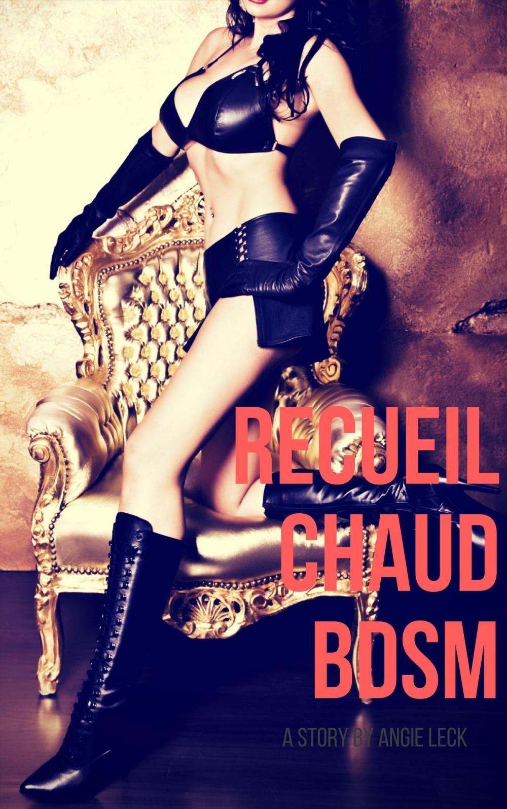 Big bigCover of Recueil chaud BDSM (5 histoires)