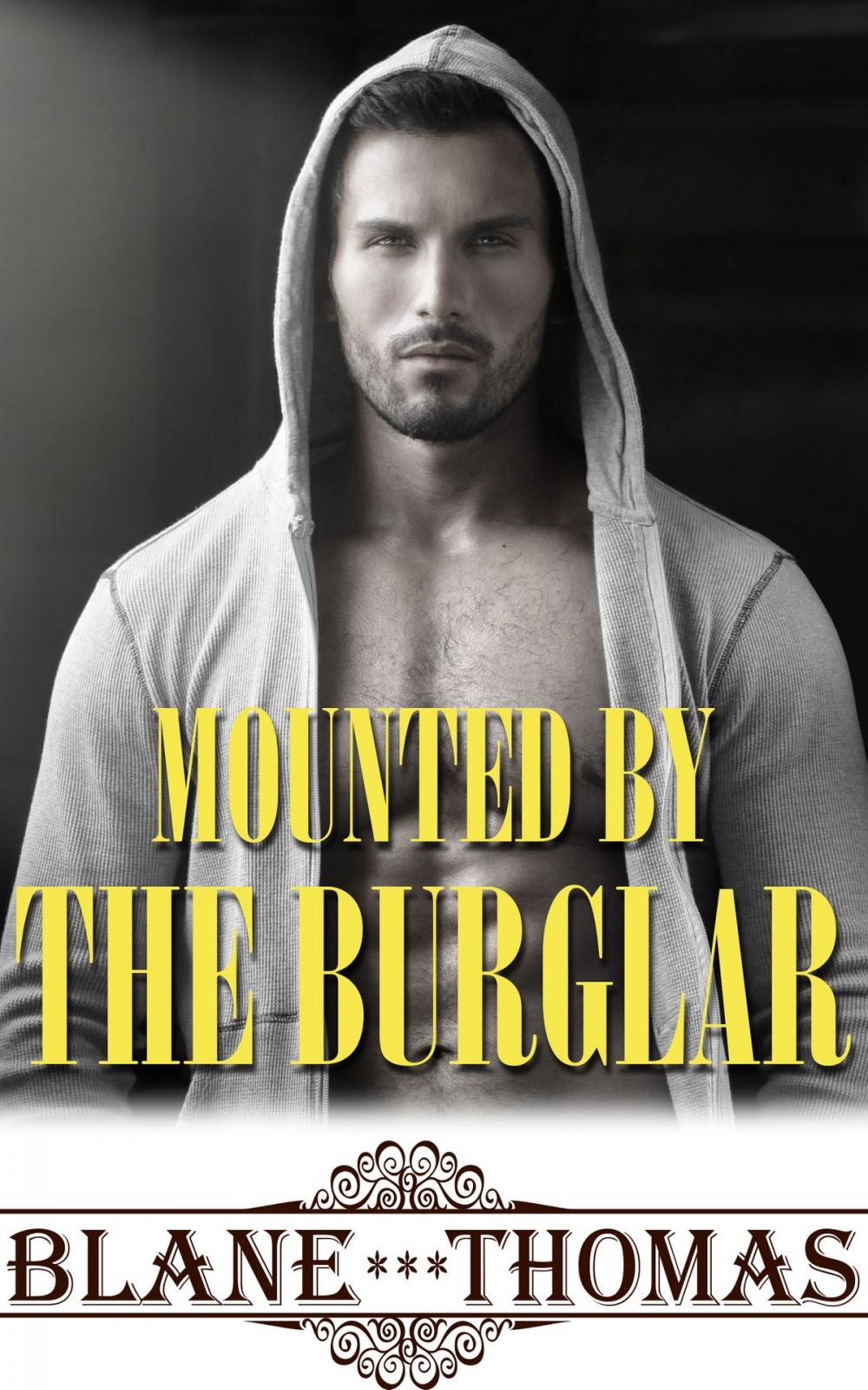 Big bigCover of Mounted By The Burglar