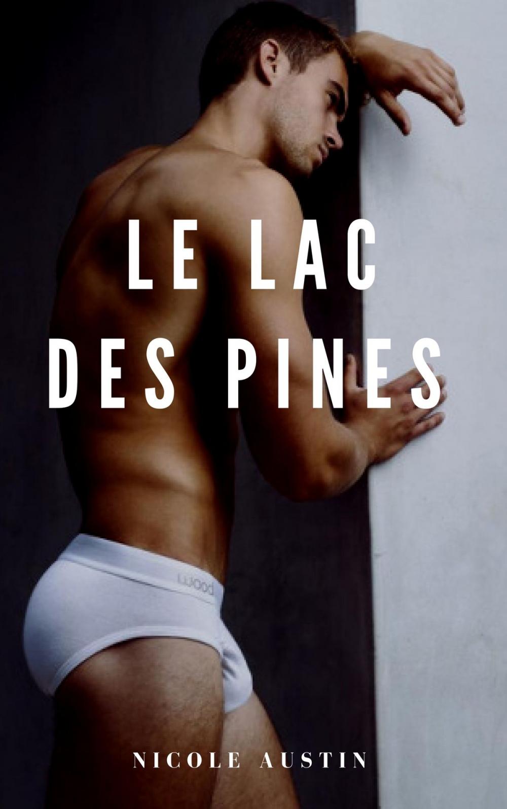 Big bigCover of Le lac des pines