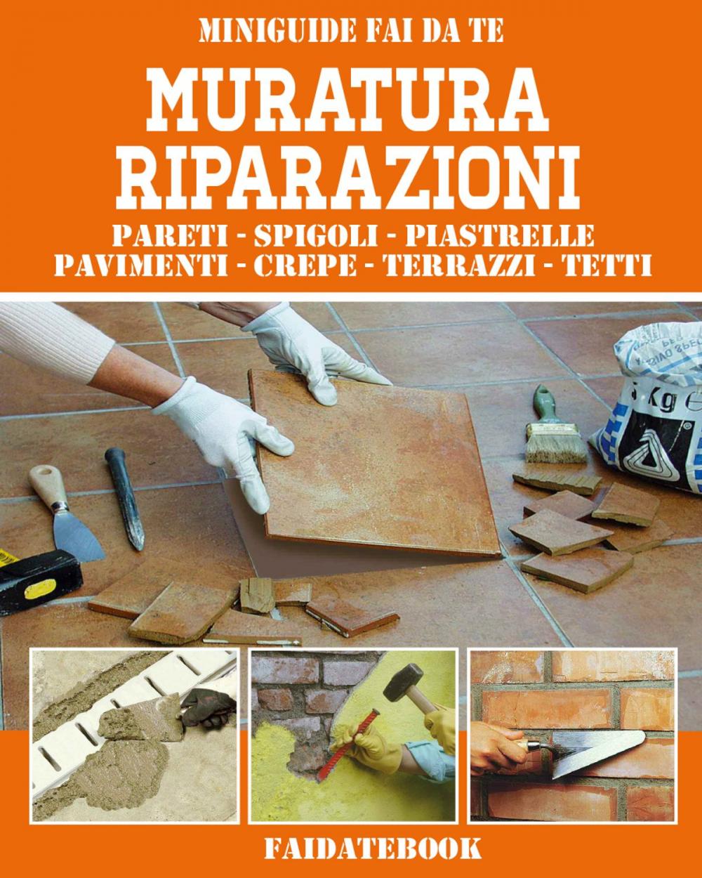 Big bigCover of Muratura Riparazioni