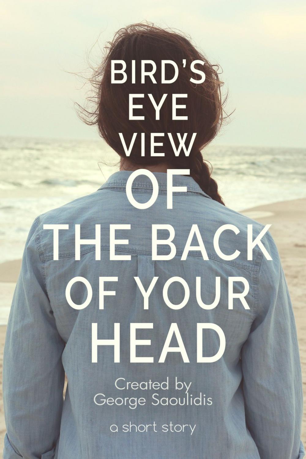 Big bigCover of Bird’s-Eye View of the Back of Your Head