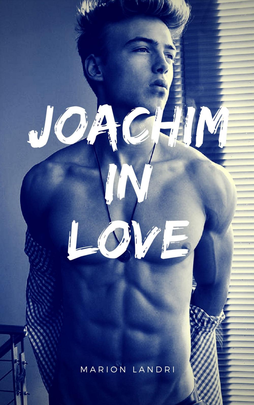 Big bigCover of Joachim In Love