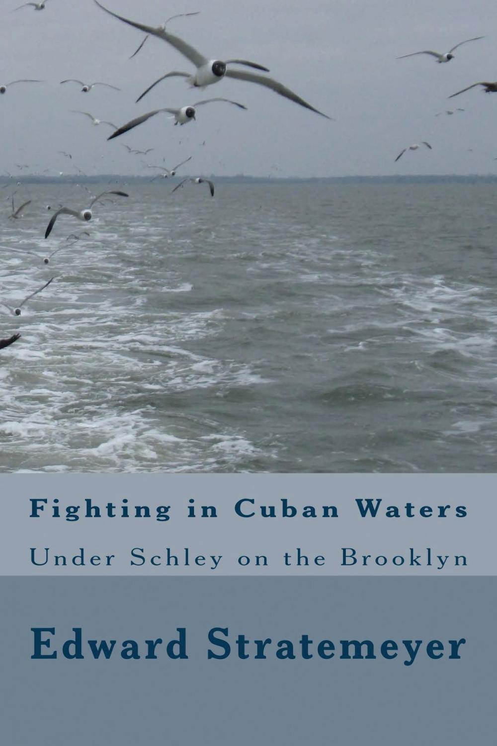 Big bigCover of Fighting in Cuban Waters (Illustrated Edition)