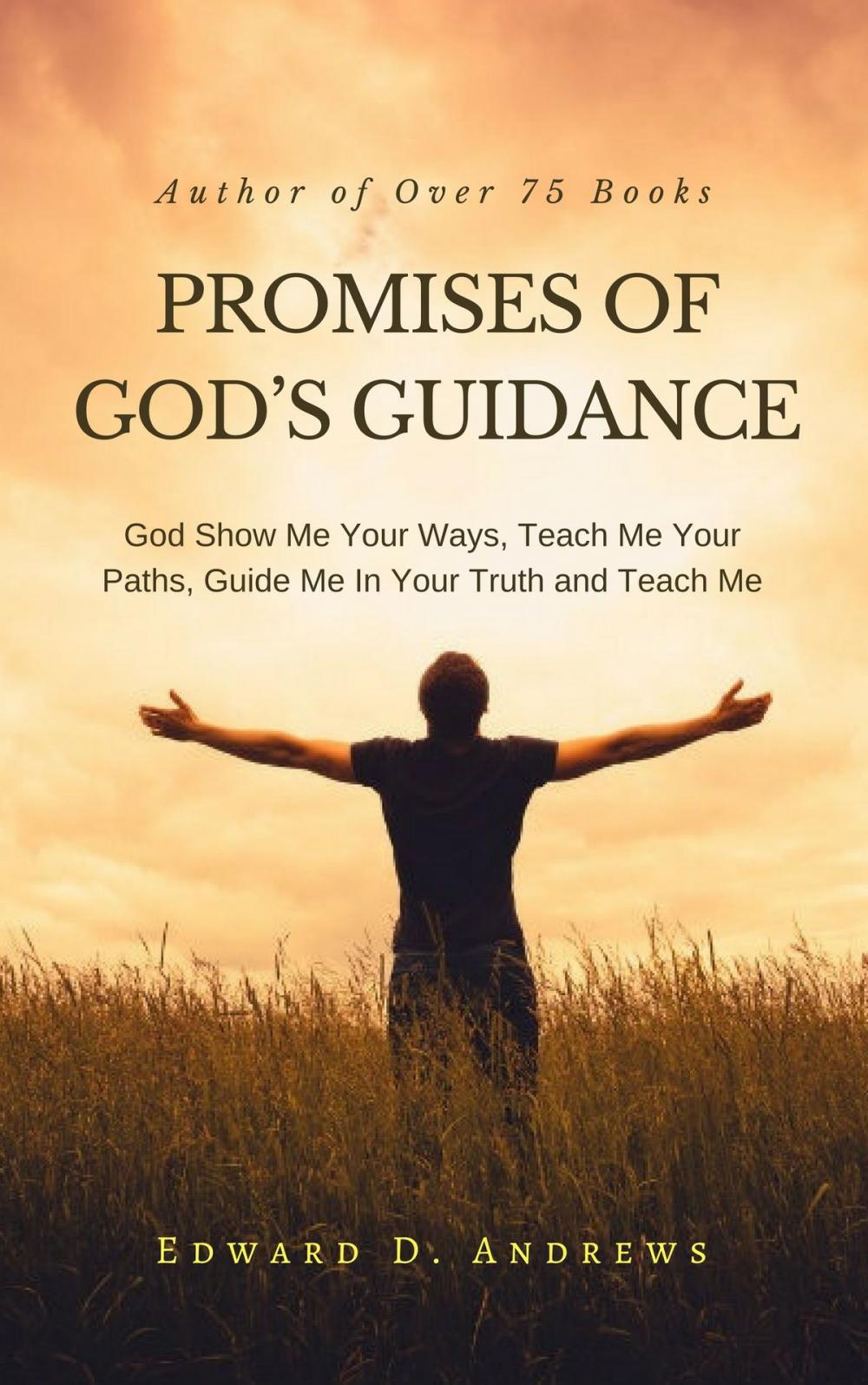 Big bigCover of PROMISES OF GOD'S GUIDANCE