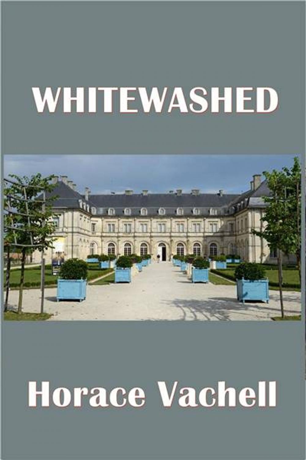 Big bigCover of Whitewashed