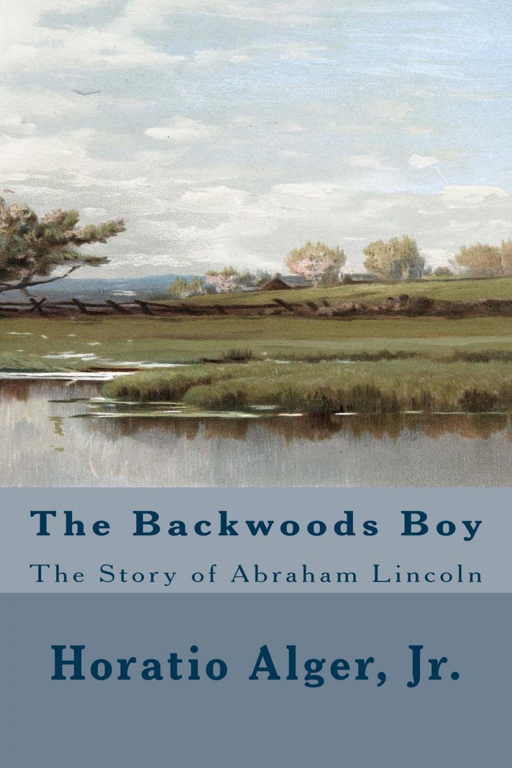 Big bigCover of The Backwoods Boy (Illustrated Edition)