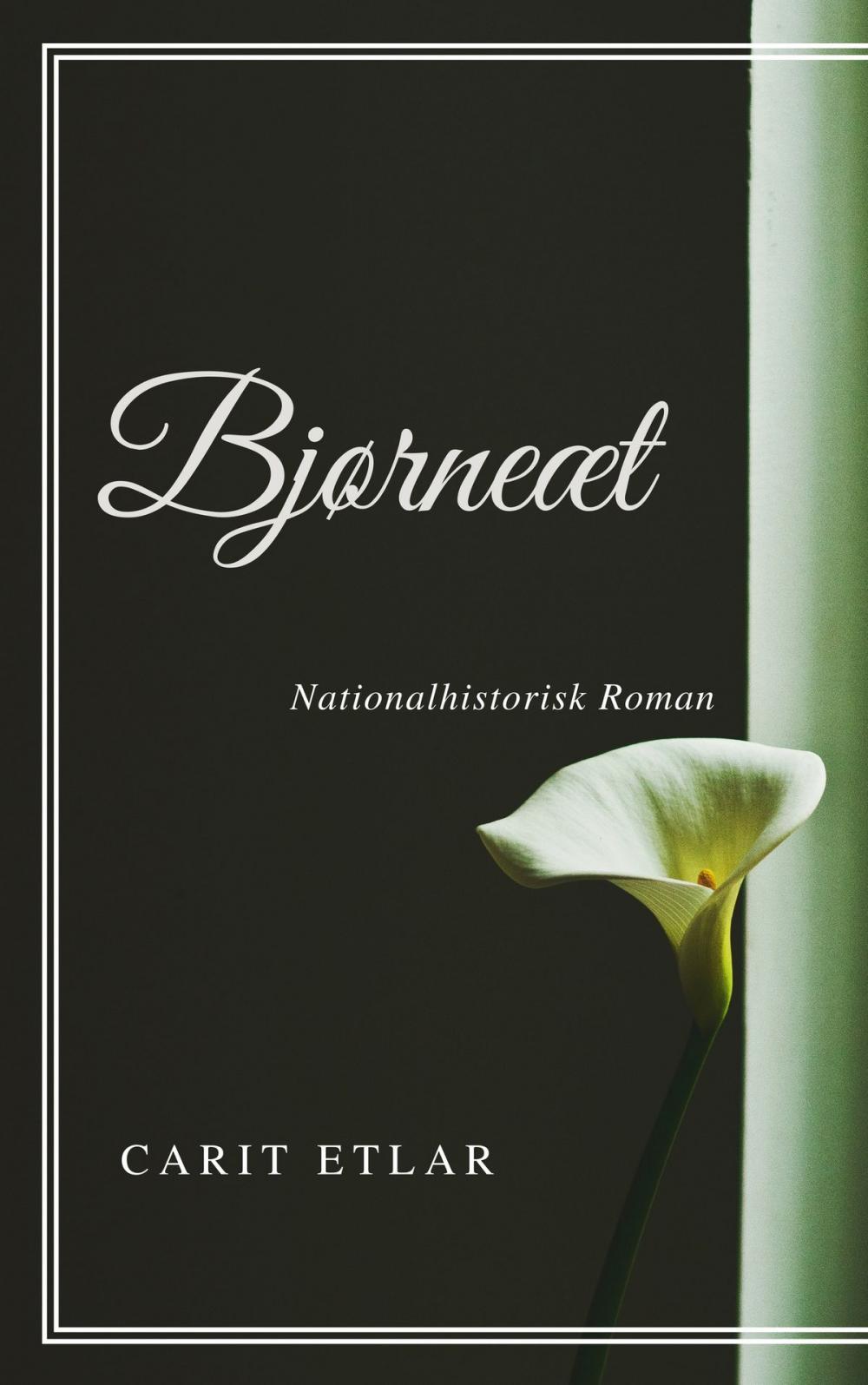 Big bigCover of Bjørneæt