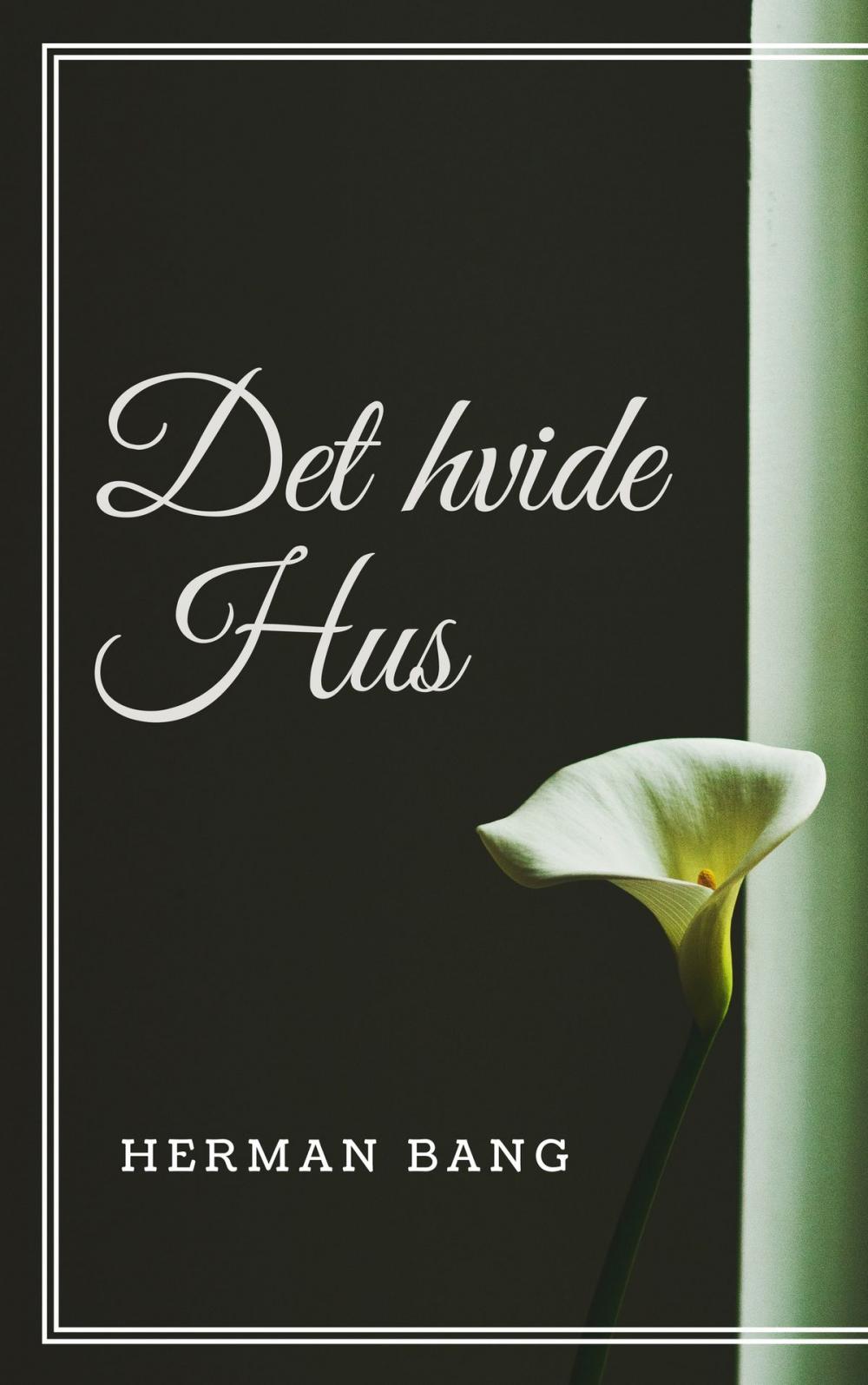 Big bigCover of Det hvide Hus