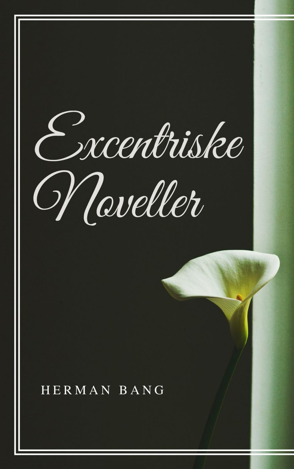 Big bigCover of Excentriske Noveller