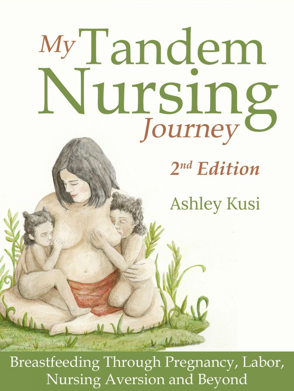 Big bigCover of My Tandem Nursing Journey