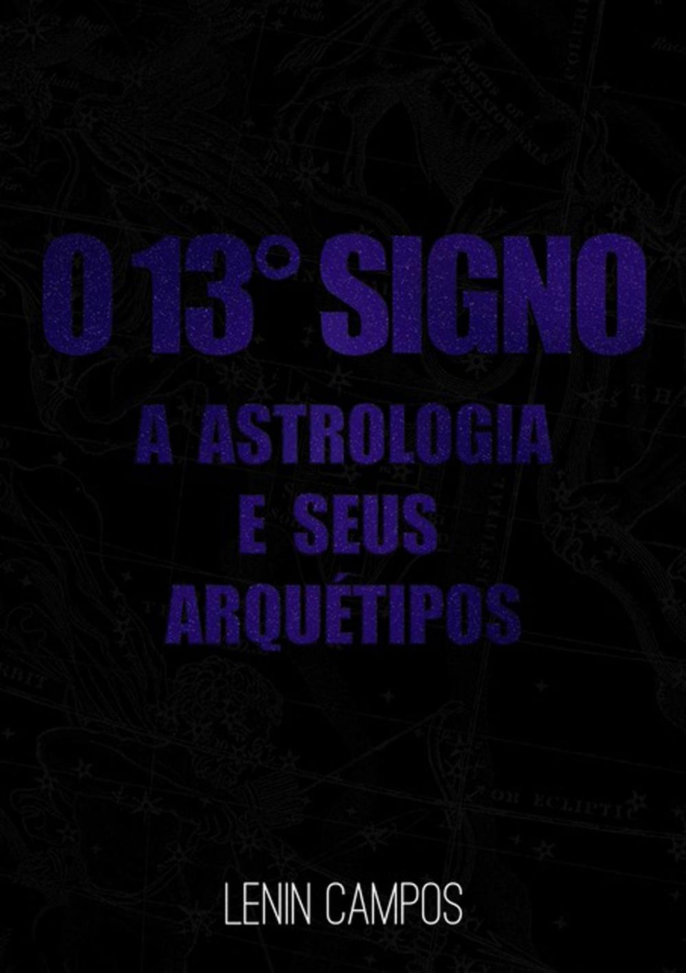 Big bigCover of O 13º Signo