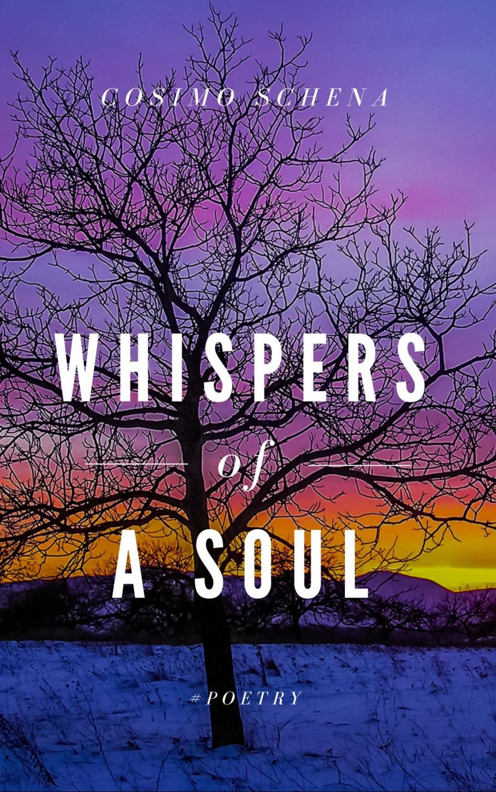 Big bigCover of Whispers of a soul