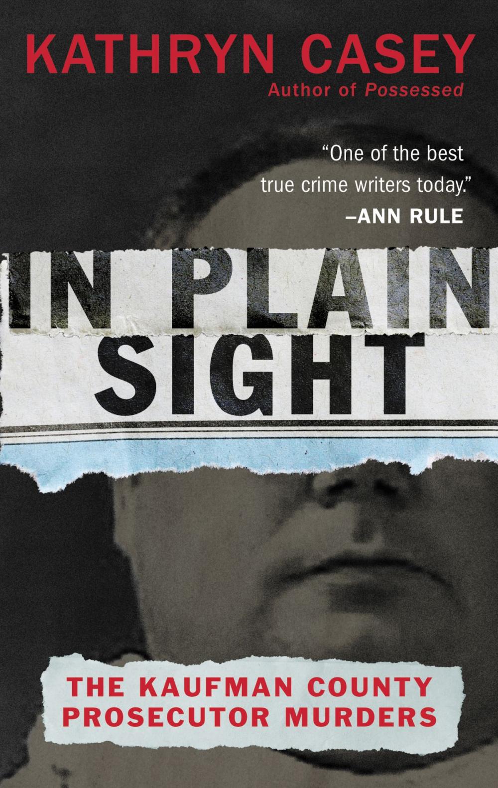 Big bigCover of In Plain Sight