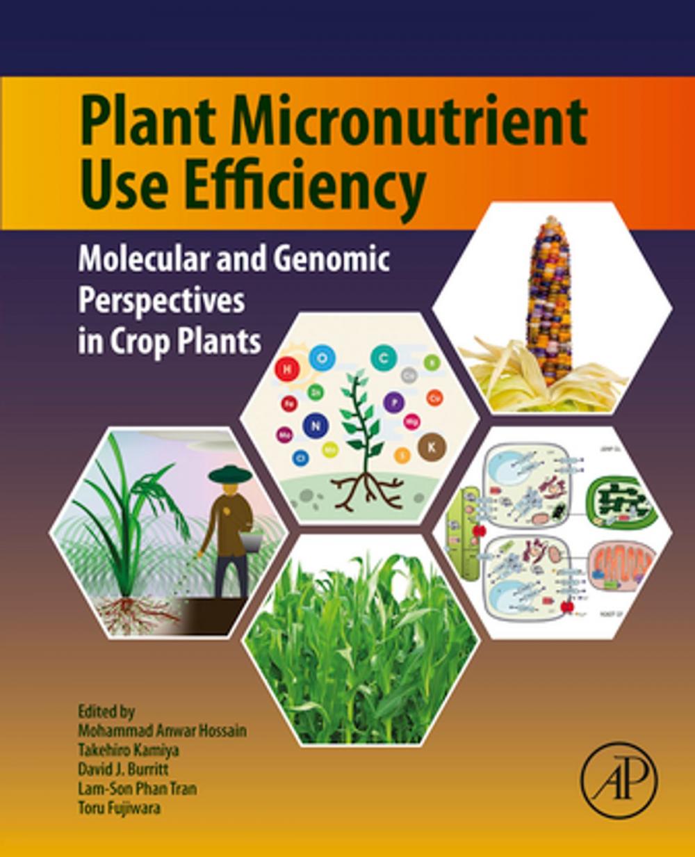 Big bigCover of Plant Micronutrient Use Efficiency