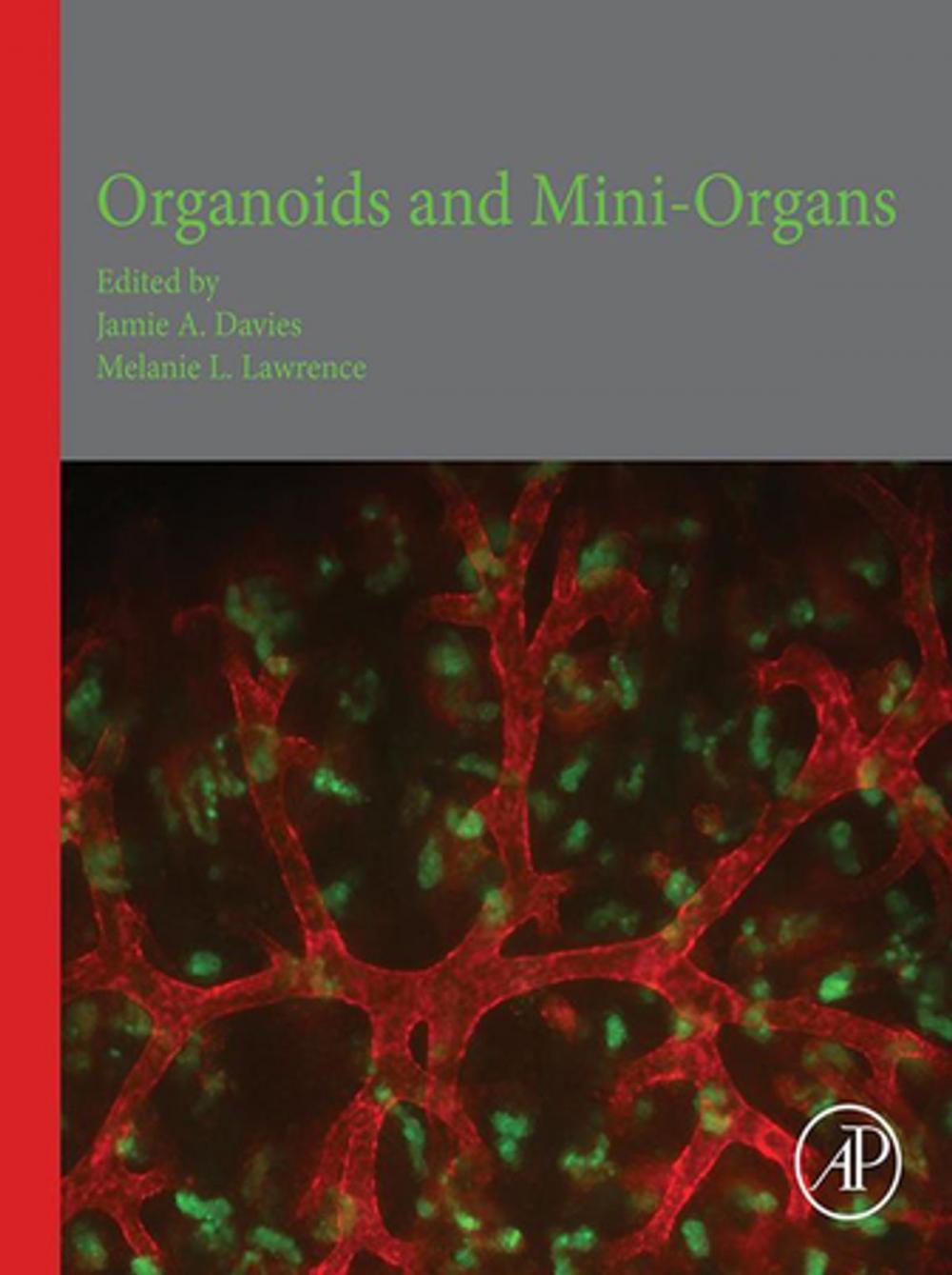 Big bigCover of Organoids and Mini-Organs