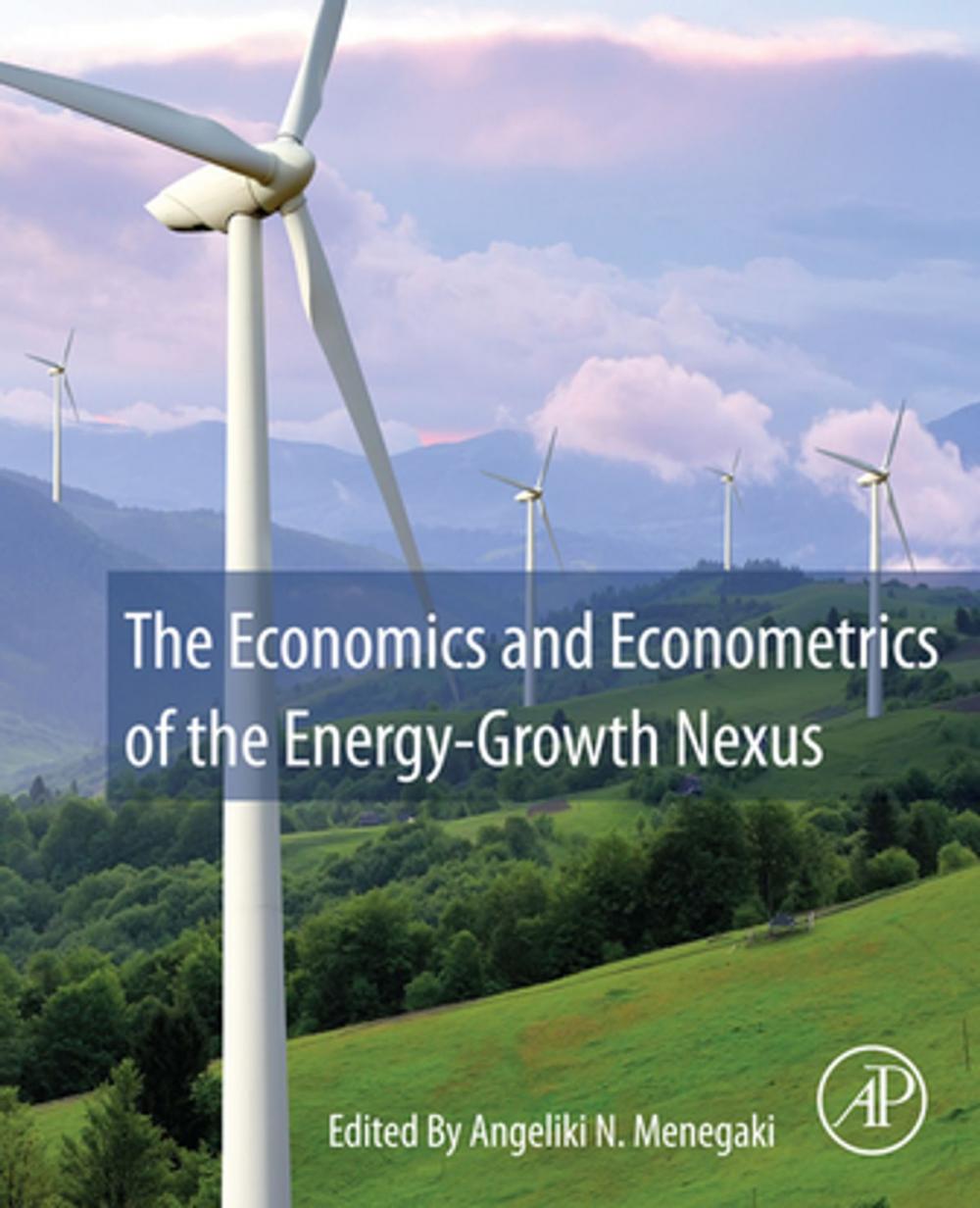 Big bigCover of The Economics and Econometrics of the Energy-Growth Nexus