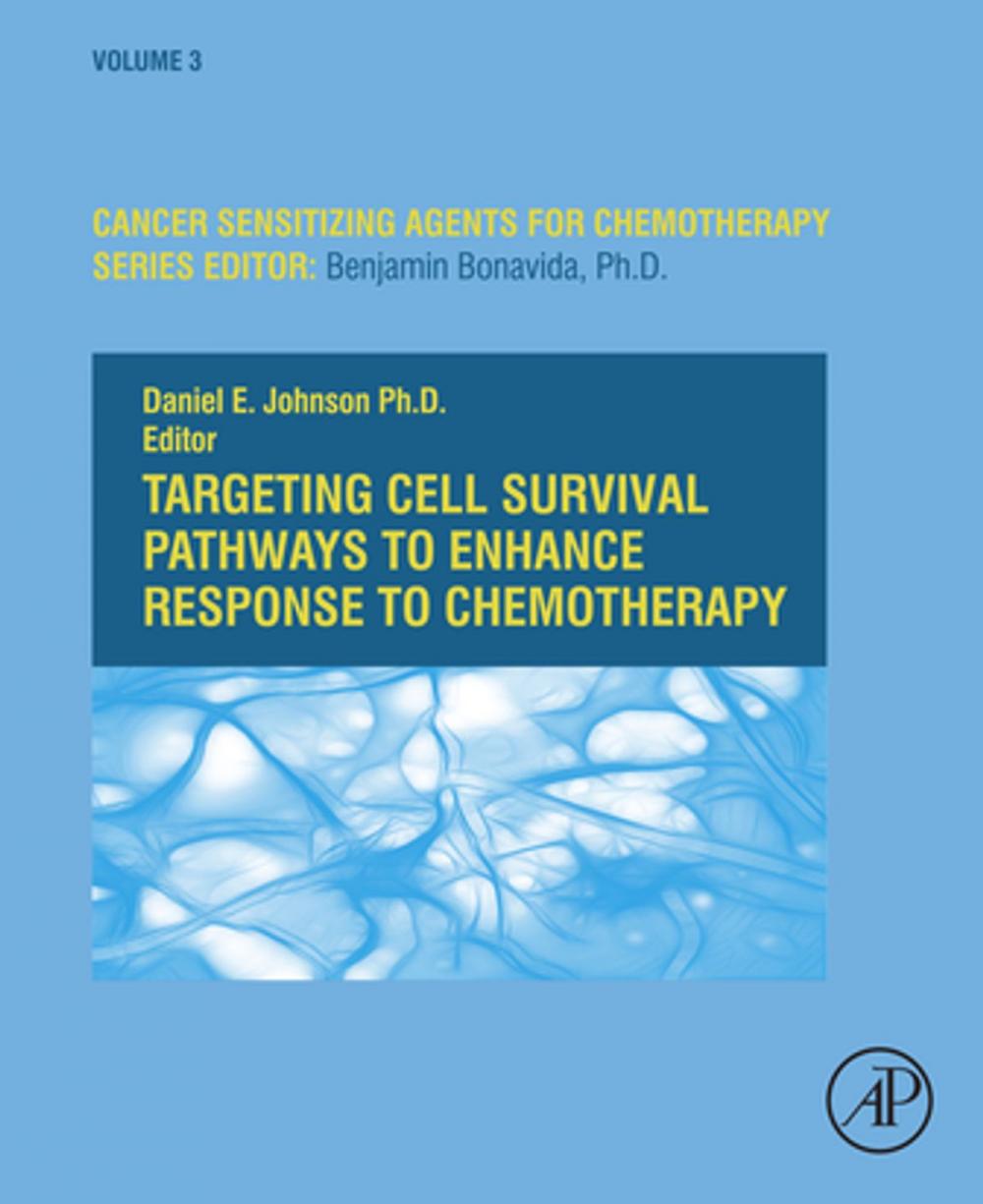 Big bigCover of Targeting Cell Survival Pathways to Enhance Response to Chemotherapy