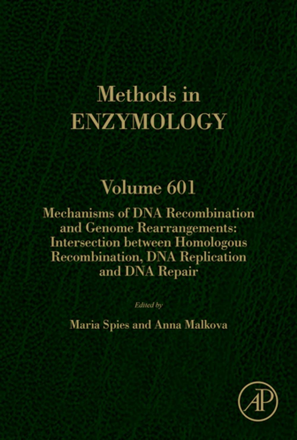 Big bigCover of Mechanisms of DNA Recombination and Genome Rearrangements: Intersection Between Homologous Recombination, DNA Replication and DNA Repair