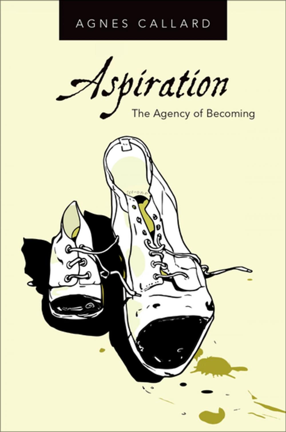 Big bigCover of Aspiration