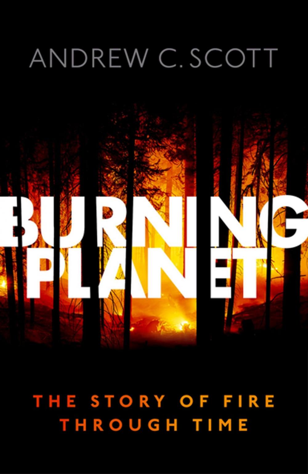 Big bigCover of Burning Planet