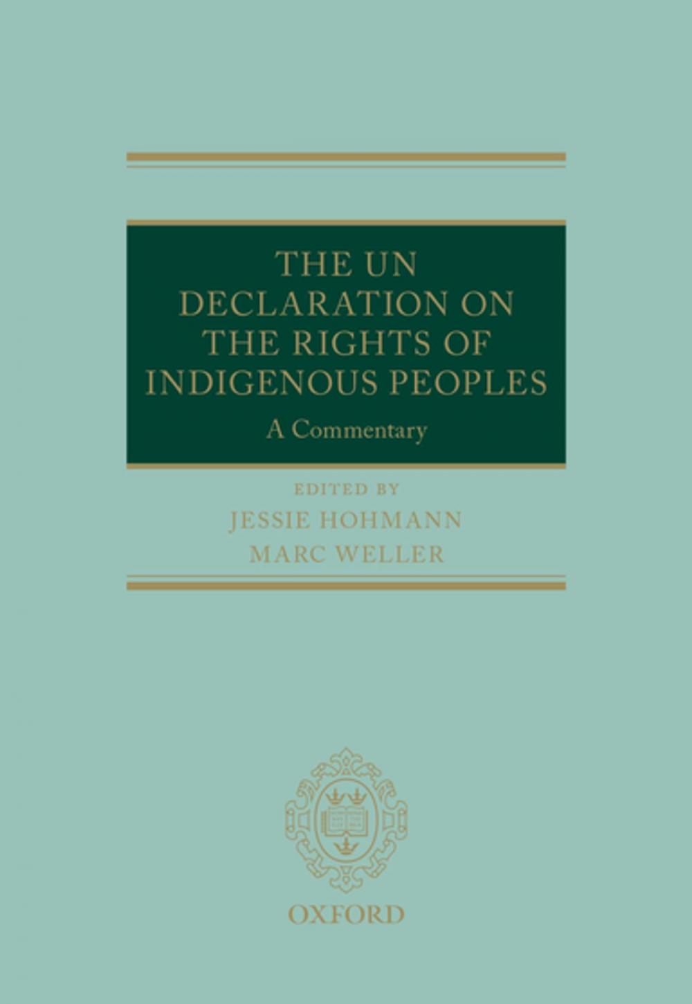 Big bigCover of The UN Declaration on the Rights of Indigenous Peoples