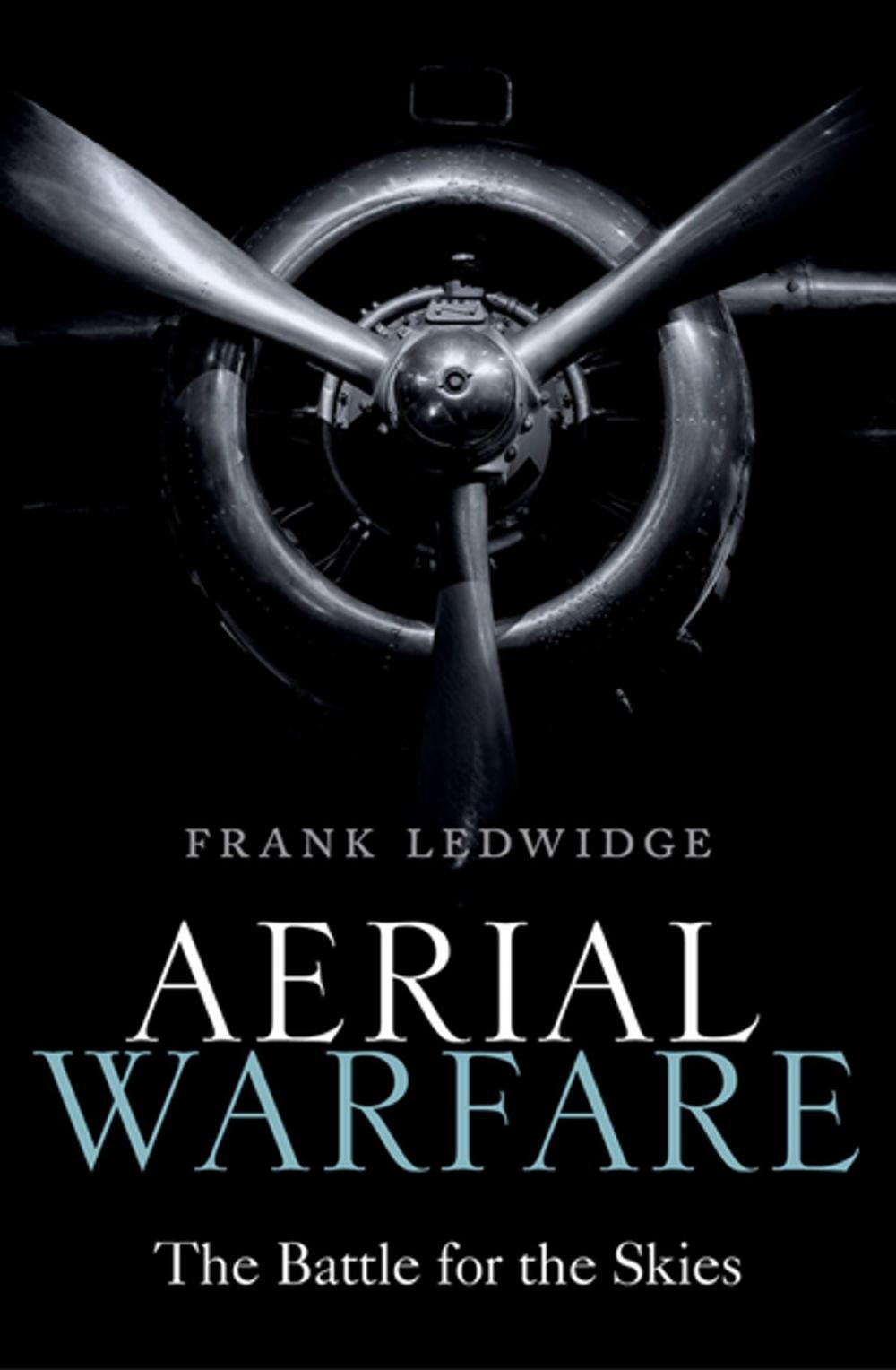 Big bigCover of Aerial Warfare