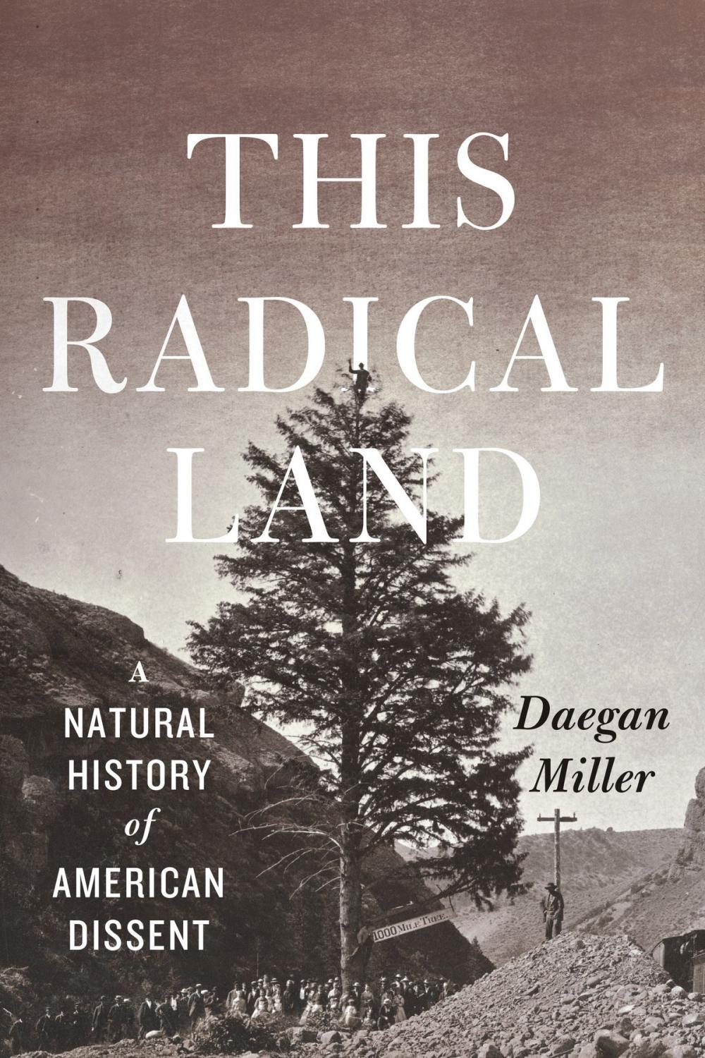 Big bigCover of This Radical Land