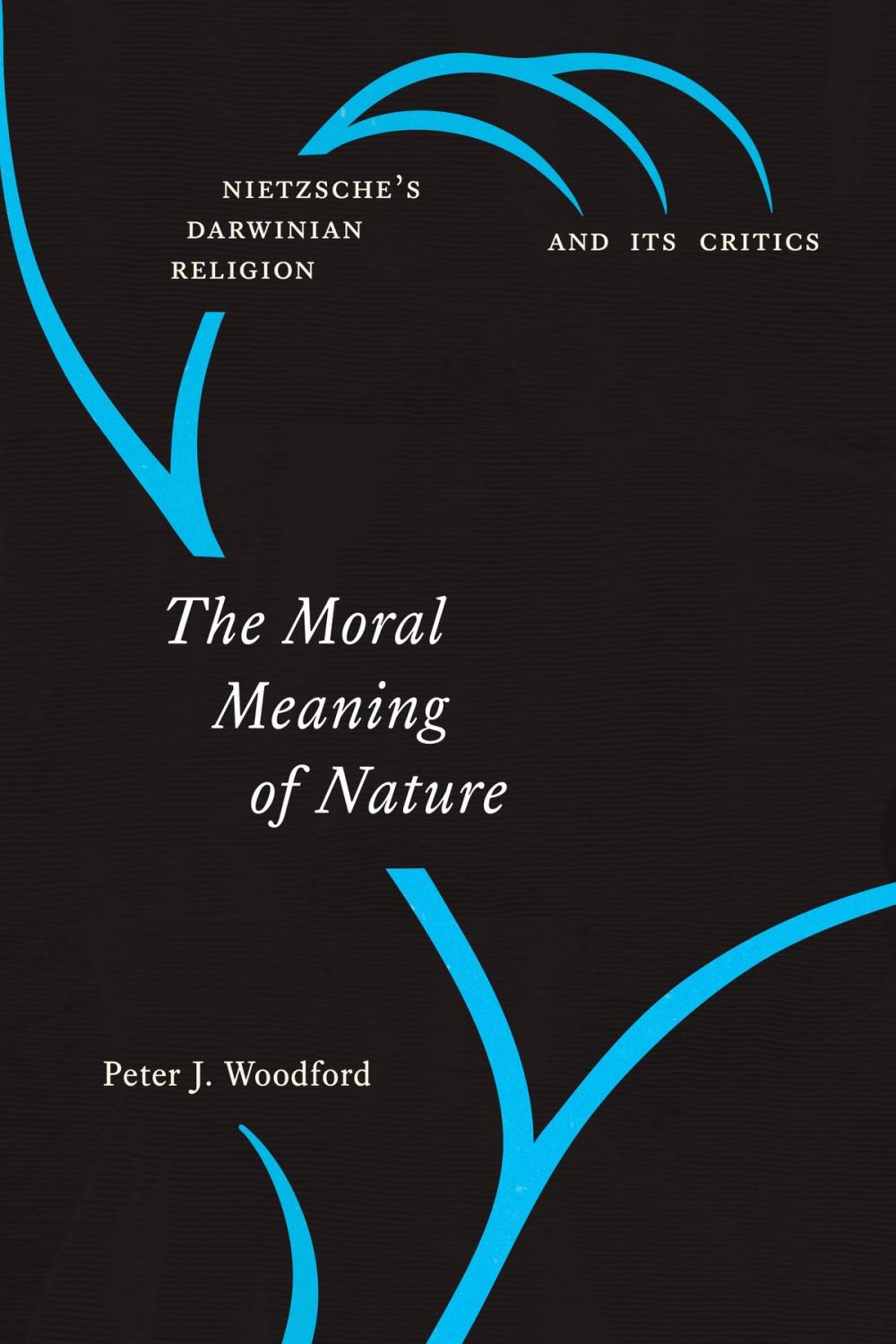 Big bigCover of The Moral Meaning of Nature