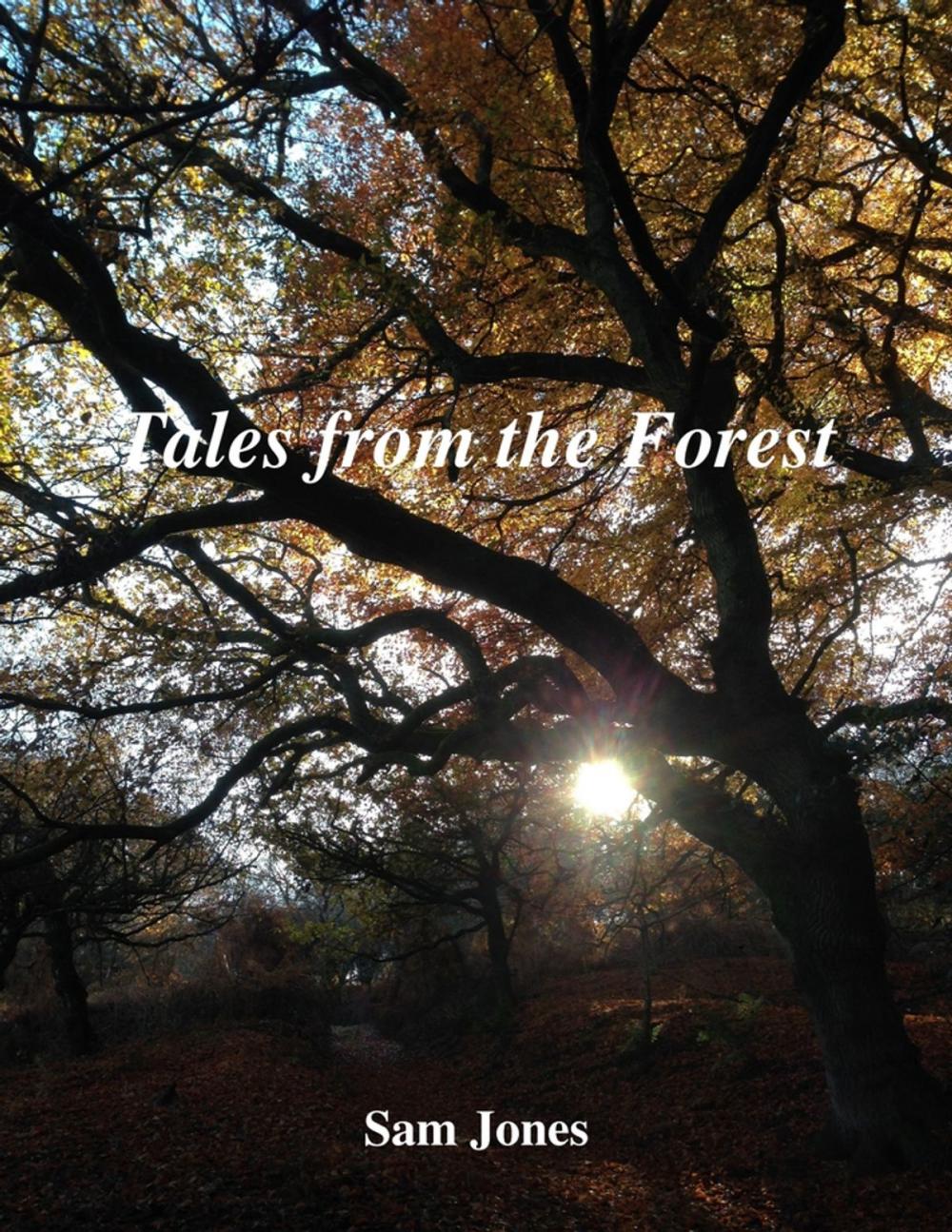 Big bigCover of Tales from the Forest