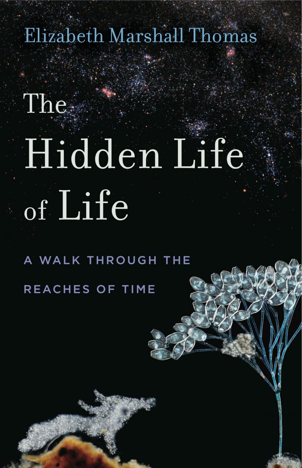 Big bigCover of The Hidden Life of Life