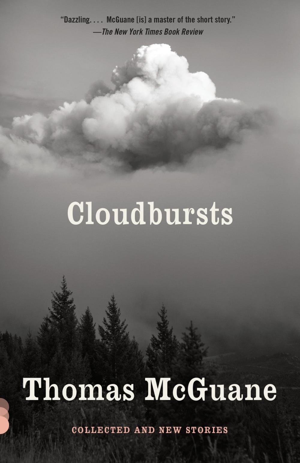 Big bigCover of Cloudbursts