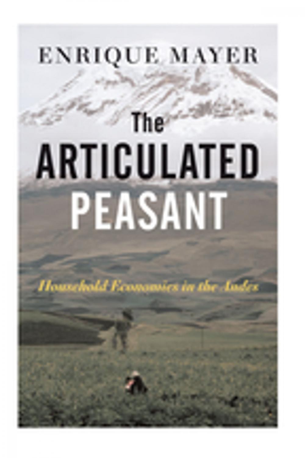 Big bigCover of The Articulated Peasant