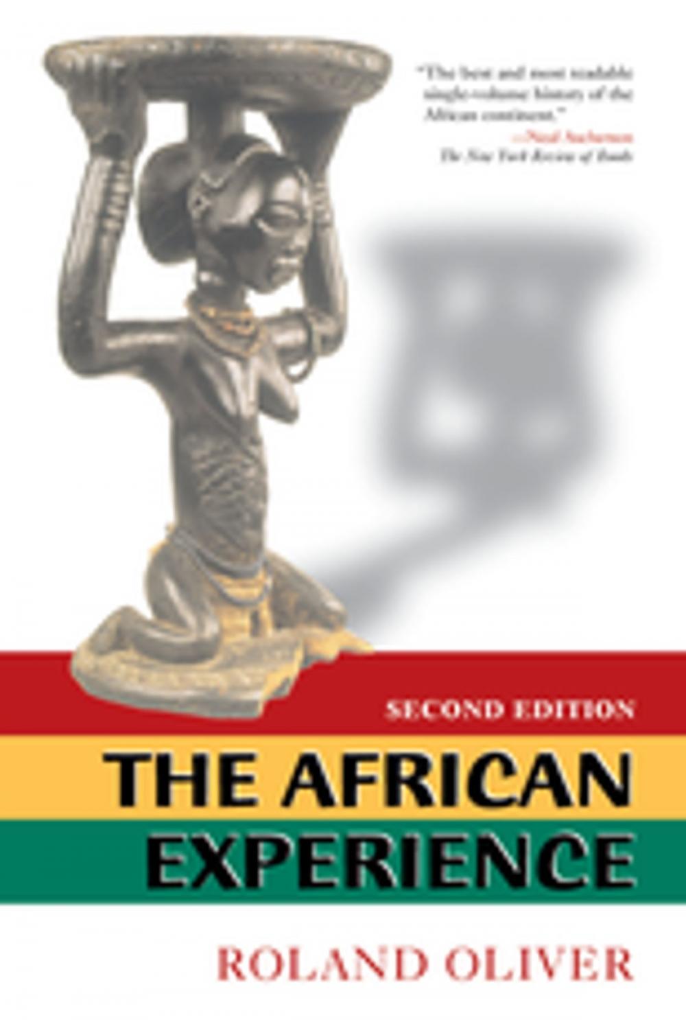 Big bigCover of The African Experience
